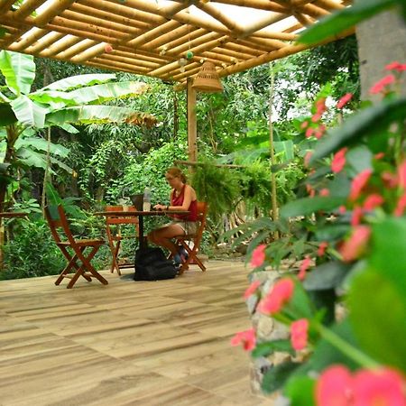 פאלומינו La Percha Hostal מראה חיצוני תמונה